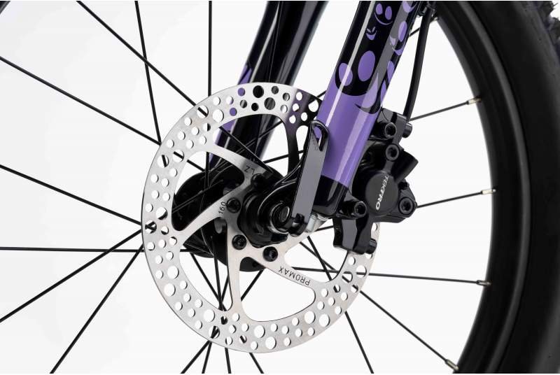Bicicleta Ghost Lanao 20 Full Party 2025 - Imagen 5